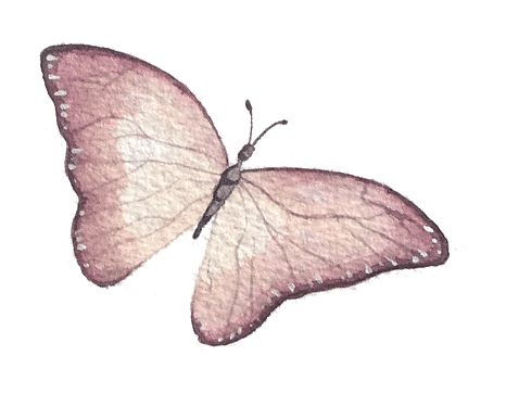 Butterfly 2 1